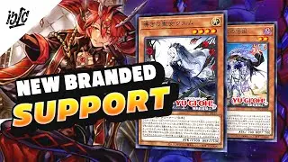 NEW Aluber, Ecclesia and Despia Support in CYBERSTORM ACCESS