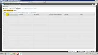 BPC10.1 Consolidation - 2. Setting BPC Dimenssions for Consolidation