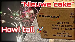 XB4119 : Triplex : 100 Shots : 25mm :  2150 Gram : F4 Howl tail up to color dahlia & cherry-blossom