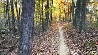 Stony Creek Metro Park in Fall #stoneycreek #shelbytownship #michigan