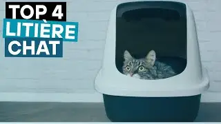 TOP 4: Meilleure Litière Autonettoyante 2025