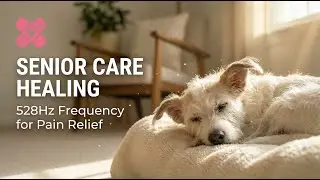 Senior Dog Deep Healing | 528Hz DNA Repair Frequency for Pain Relief & Sleep