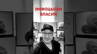 Инфоцыган от иммиграции Kiwi Education