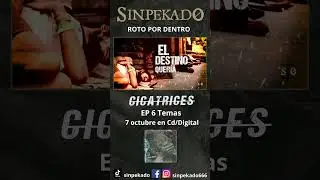 SINPEKADO &ndash; Roto Por Dentro  ⁨ @SINPEKADO666    #metal  #thrashmetal #crossover #thrashcore #punk