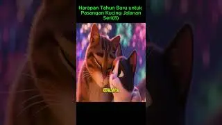 Harapan Tahun Baru untuk Pasangan Kucing Jalanan Seri(8)