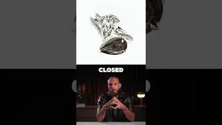 Megan Fox&rsquo;s $400K Engagement Ring: The Truth Behind the Design!