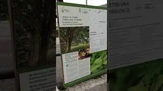#INTERVISTEdAutore By Romano a Luca Postregna #Biodiversit&agrave; Prati di Tribil