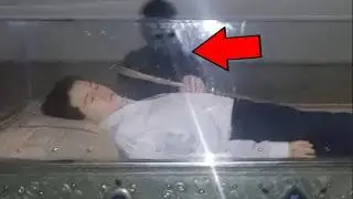 NO Veas Estos Videos de Terror Extremo Si Quieres Dormir Bajo tu Responsabilidad 2026 EP 1