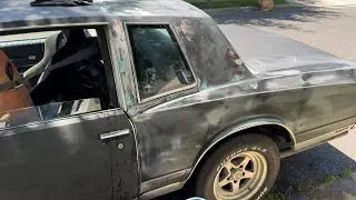 Monte Carlo ￼wet sand & body filler!!