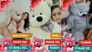Happy Teddy day // full screen WhatsApp status // WhatsApp status 💖💖💖