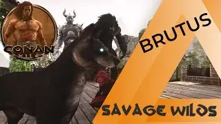 Conan Exiles: BRUTUS Location SAVAGE WILDS Map