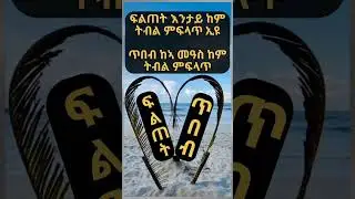 Eritrea+ 2023 #eritrea #shorts #motivation