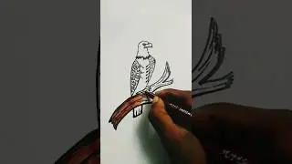 🦅 Eagle drawing 🦅 #shorts #viral #trending 🔥🔥