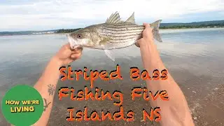 Striped Bass Fishing Five Islands Nova Scotia