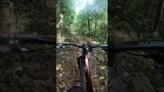 @mtb_MamadTolakBasikal   UP&DOWN #demicontent #notfastjuzfun #weridemtb #foryourpage #likeandfollow
