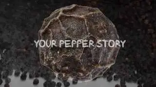 Black Pepper Story, Santa Maria