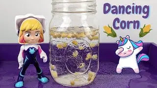 Dancing Corn Science Experiment - For Kids!