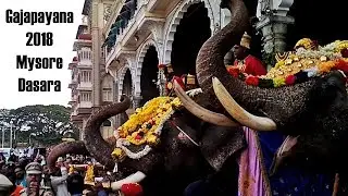 Mysore Dasara 2018 Gajapayana Welcome of Dasara Elephants to Mysore Palace Mysore tourism