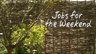 Gardeners&rsquo; World Jobs for the Weekend 18 June 2021 #gardenersworld #originalgardening #gardeningin
