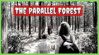 Is the Parallel Forest Haunted? 👻 | Things to do in the Wichita Mountains