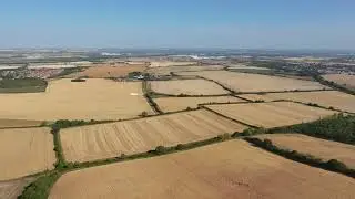 DJI Neo. Hare, Deer, AI modes. Max Altitude
