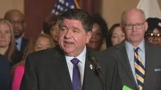 Several new laws set to go into effect Thursday in Illinois