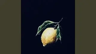 Lemon LEMONADE