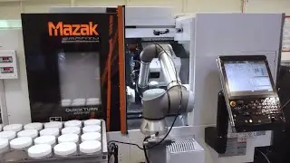 Cobot  -- an interactive robot | Dalau&trade;