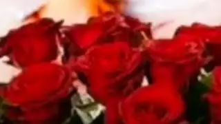 بدأت قناة 