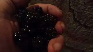Roger Brown vs James Robert Clark III Round 5( Who holds the Berries)  @TheFactsAreTheFacts