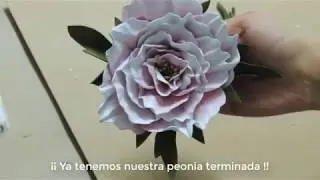 Cómo hacer flores de goma eva : Peonía