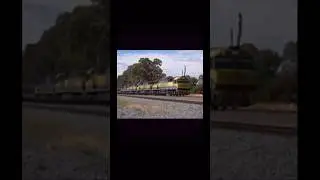 LET IT OUT&hellip; LET IT OUT&hellip; QL HORN #memes #train #trainhorns #trainhornprank