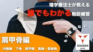 【今更聞けない】誰でもわかる肩甲骨の触診解説！内側縁、下角、肩甲棘、肩峰・肩峰角