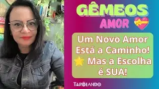 AMOR❤ GÊMEOS♊ Você Evoluiu! Agora o Amor Que Você Merece Está Chegando! 🦋💝