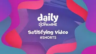Daily Dopamine Satisfying Video | #16