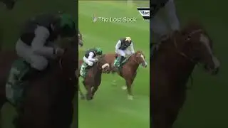 Recent RaceShare highlights ⭐️