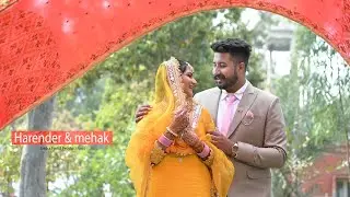 Harender & mehak ll RingCeremony ll  Highlight ll 2023 ll Baba Farid Productions