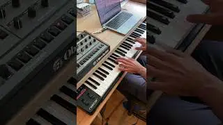 Oberheim OB-X8 - Bi-timbral 