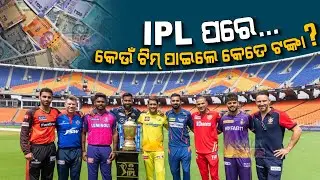 Special Report: In IPL 2023, The Winner CSK Bags Rs 20 Crore, While GT Secures A Prize Of Rs 12.5 cr