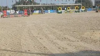 Kuwait horse riding competition