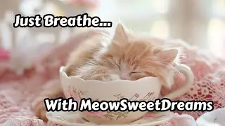 💎 Kalimba & Harp Relaxing Music for Cats | Trauma Recovery & Deep Peace | Crystal Purr Healing 🐱✨