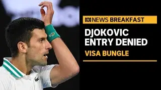 Djokovic's visa cancelled for not meeting entry requirements | ABC News