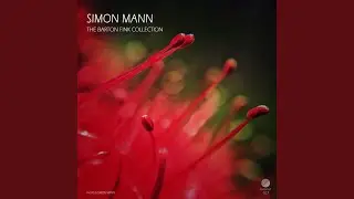 Reality Melt (Original Mix)