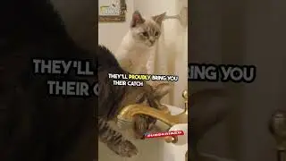 Unveiling the Deadly Hunting Instincts Cats!🐈