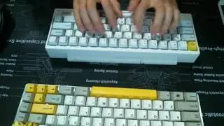 spicy meme typing testo
