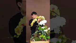 Một chậu lan ho&agrave;n thiện từ sự chăm ch&uacute;t từng chi tiết - m&oacute;n qu&agrave; biếu sếp đầu năm đầy &yacute; nghĩa.