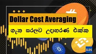 Dollar Cost Averaging(DCA) in Sinhala