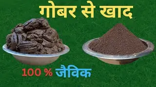 गोबर से जैविक खाद बनाए मात्र 30 दिन में। Make organic fertilizer from cow dung in just 30 days#video