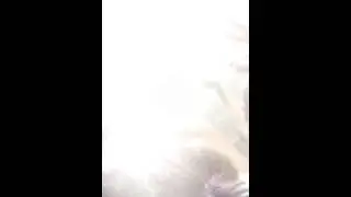 HOPSIN illmind 5 (end)