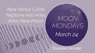 🌙 Moon Mondays&mdash;March 24, 2025